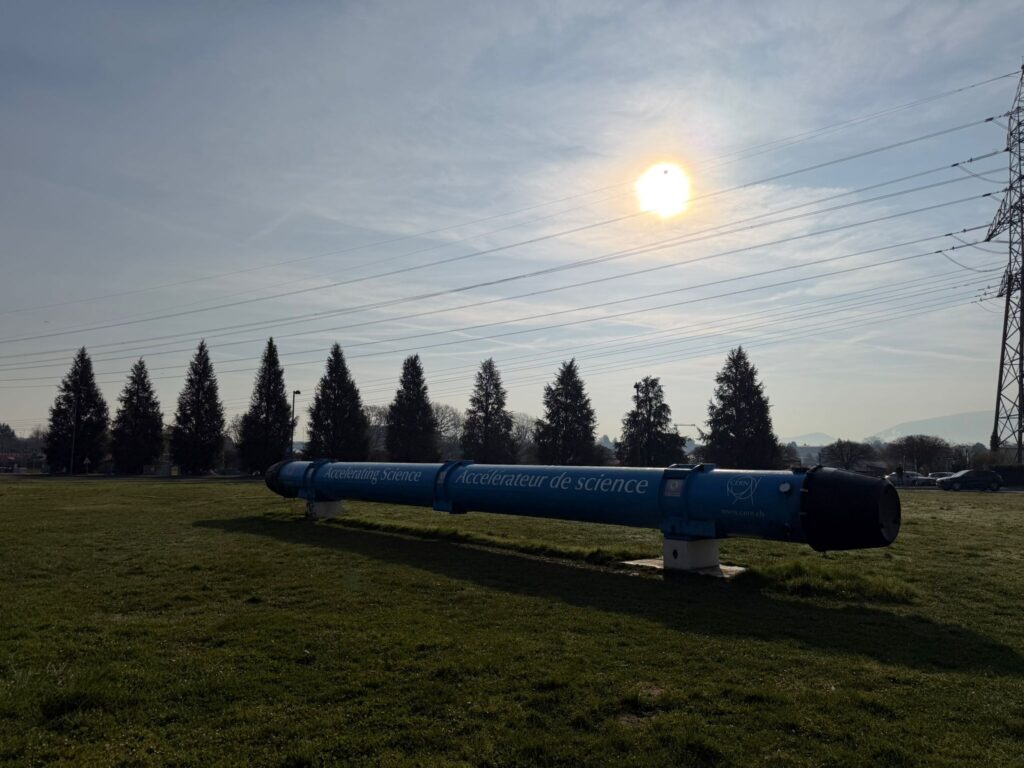 motion_photo_7739684645742693368